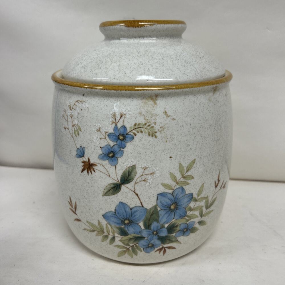 Vintage Mikasa Garden Club Day Dreams Retired EC461 Jar Canister 8”